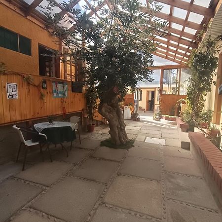 Hostal Julia El Quisco Buitenkant foto